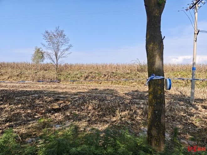 河内1.5分彩：农妇收玉米遇山体滑坡失联第七天：事故位于采矿区，家属进入现场 镇政府：先找人